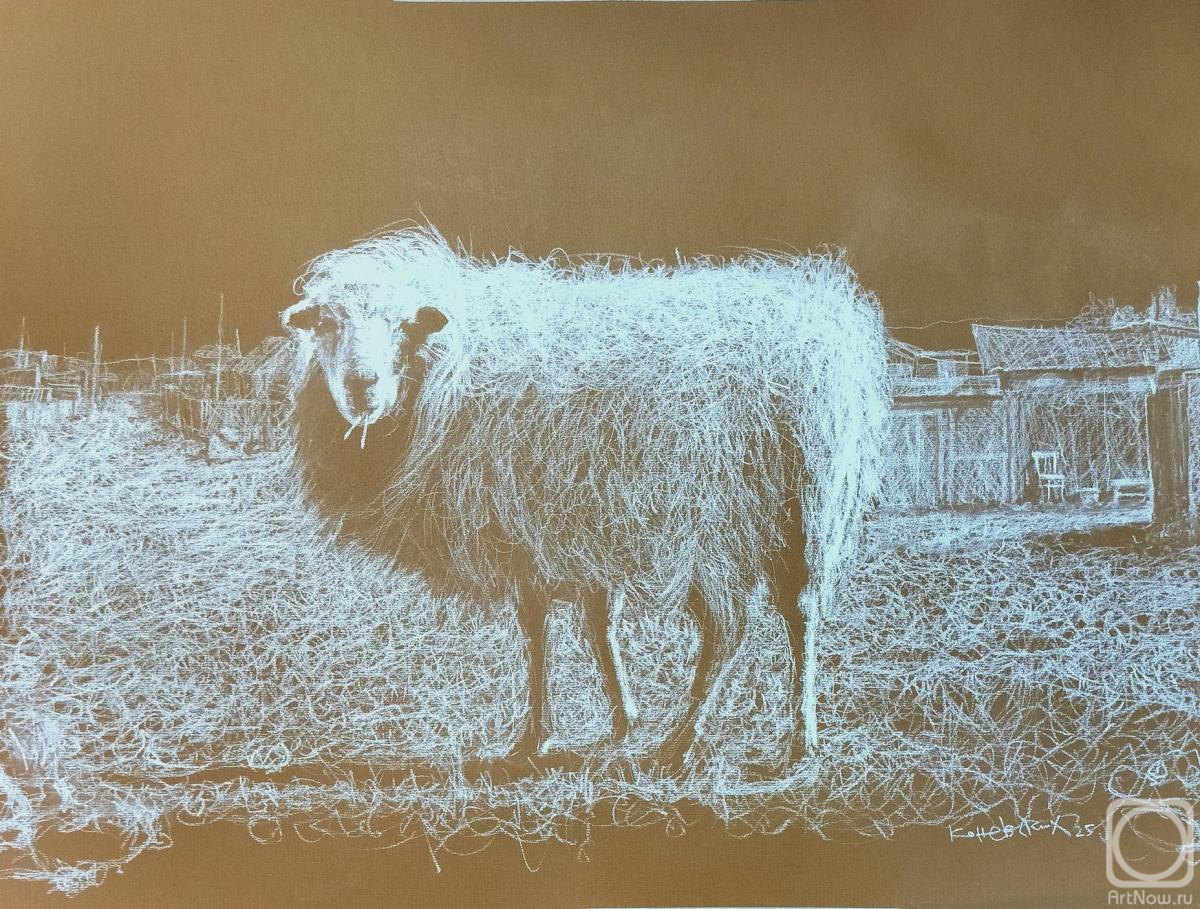 �������. ��������� ����������. ������ �����