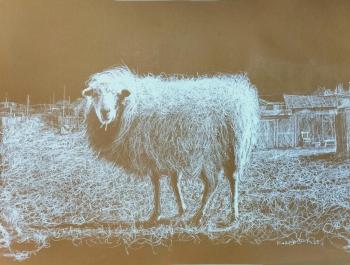 ������ �����. ��������� ����������