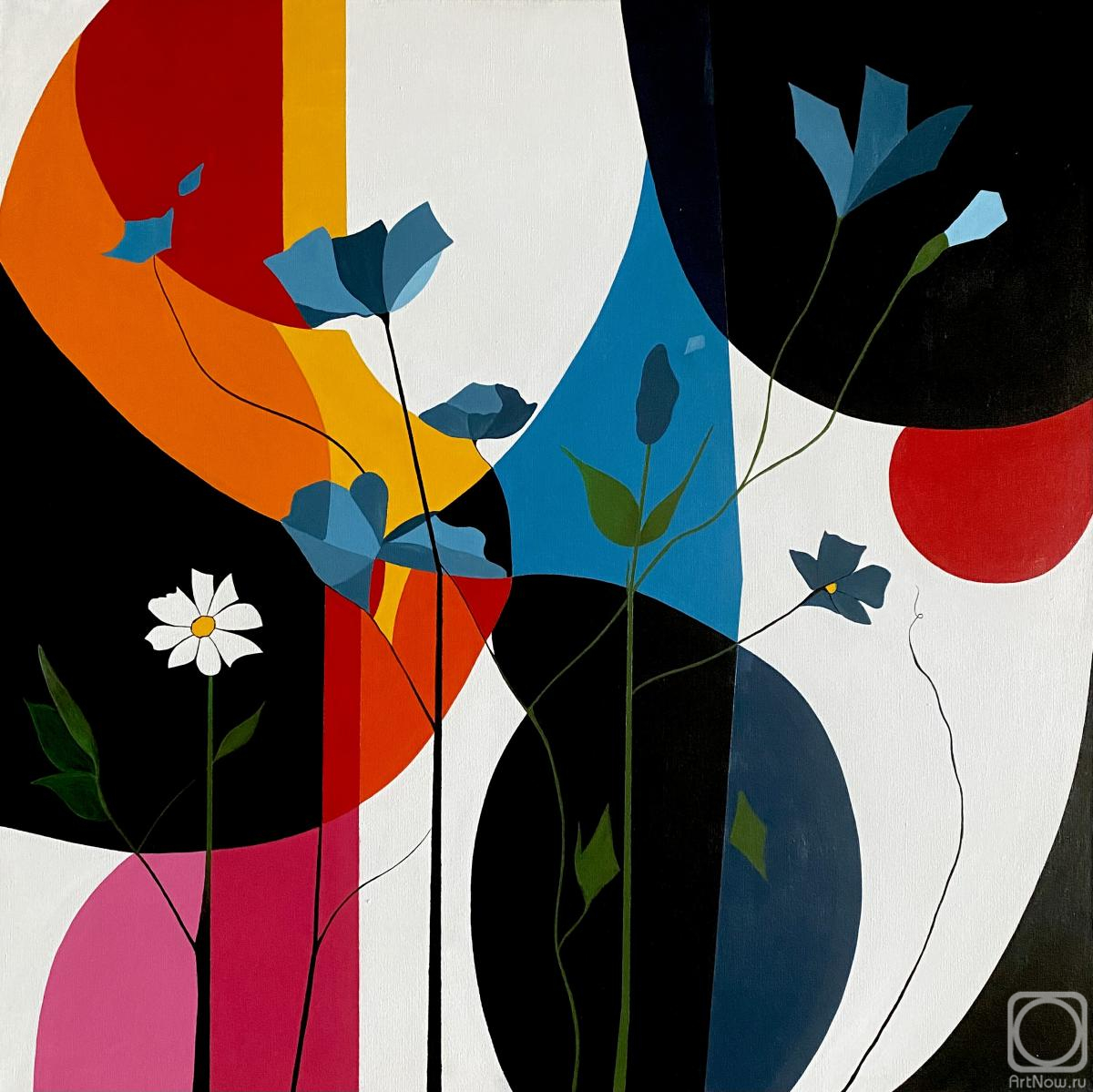 �������. �������� ������. �������� ����������