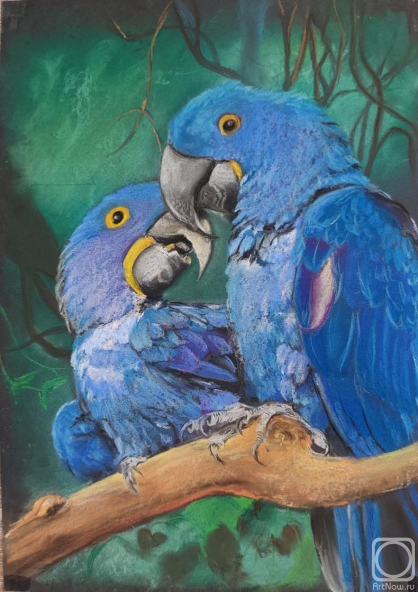 �������. ������������ �����. ����� �������