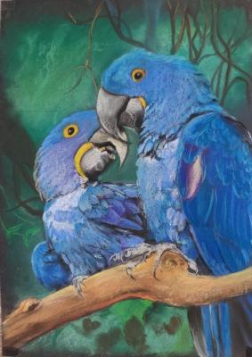 ������� ������ �������