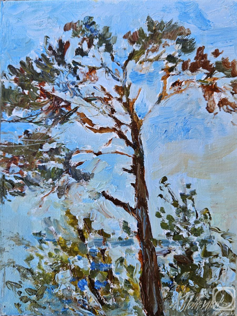 ������� ������ �� ������. ��������� ������. ���� �����