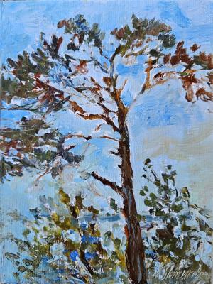 ���� ����� (������� � ������). ��������� ������