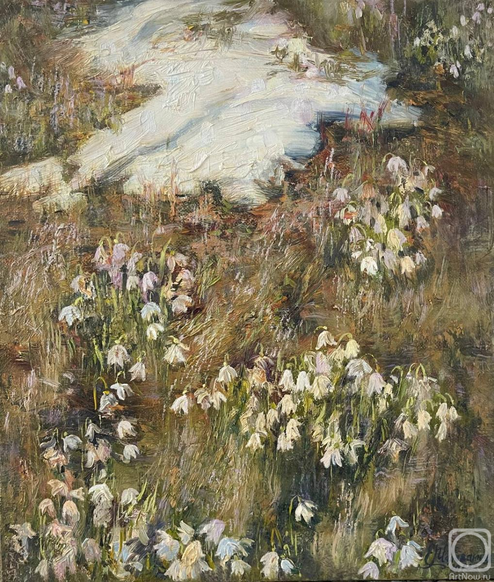 Belyukina Ekaterina. Snowdrops