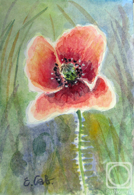 �������. ��������� �����. ����� ���