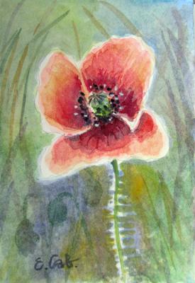 ����� ��� (���������� �������). ��������� �����