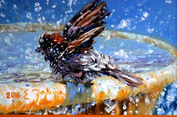 ������� ��������