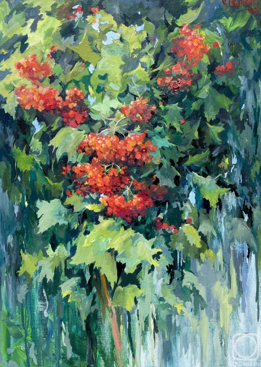 ������� ������ �� ������. ������ �����. ������. ������