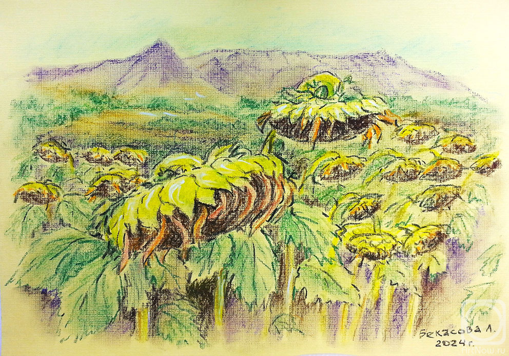 �������. �������� �������. ���������� �������