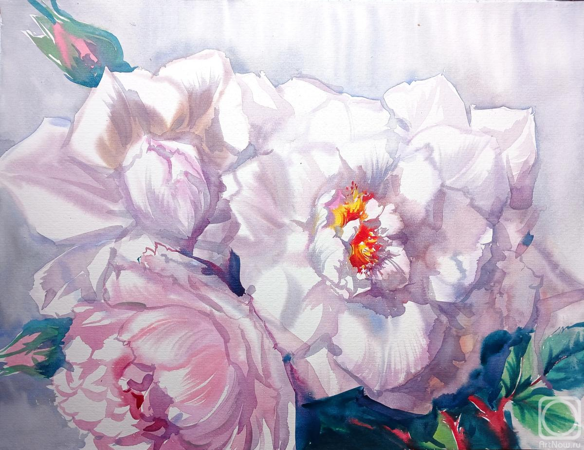 Mikhalskaya Katya. Untitled