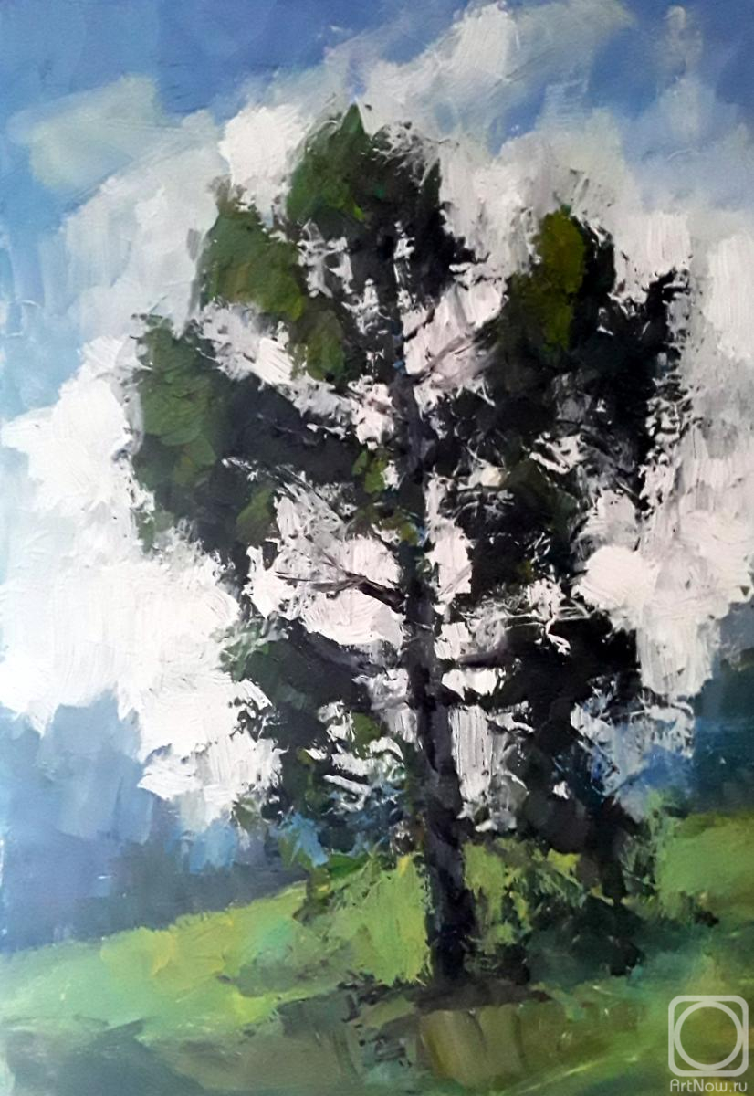 �������. ����� ���������. � ������� 25-��