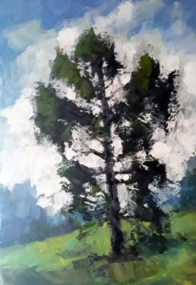 In August 25th. Knecht Aleksander