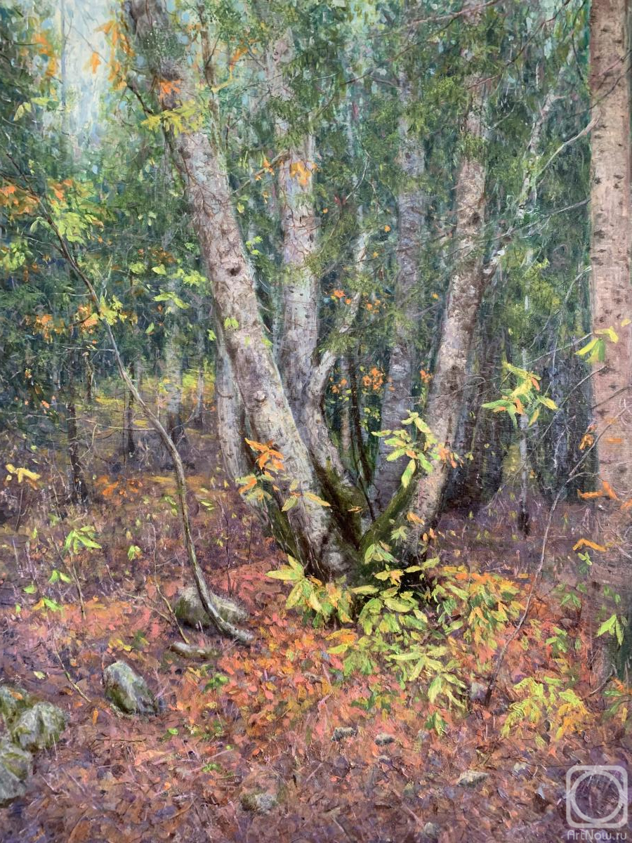 ������� ������ �� ������. ������ ������. �������.�������