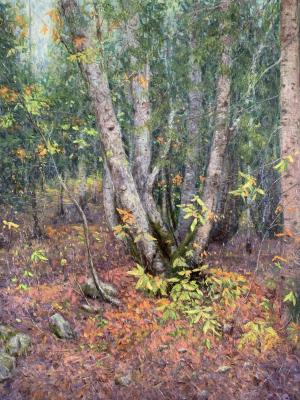 �������.�������. ������ ������