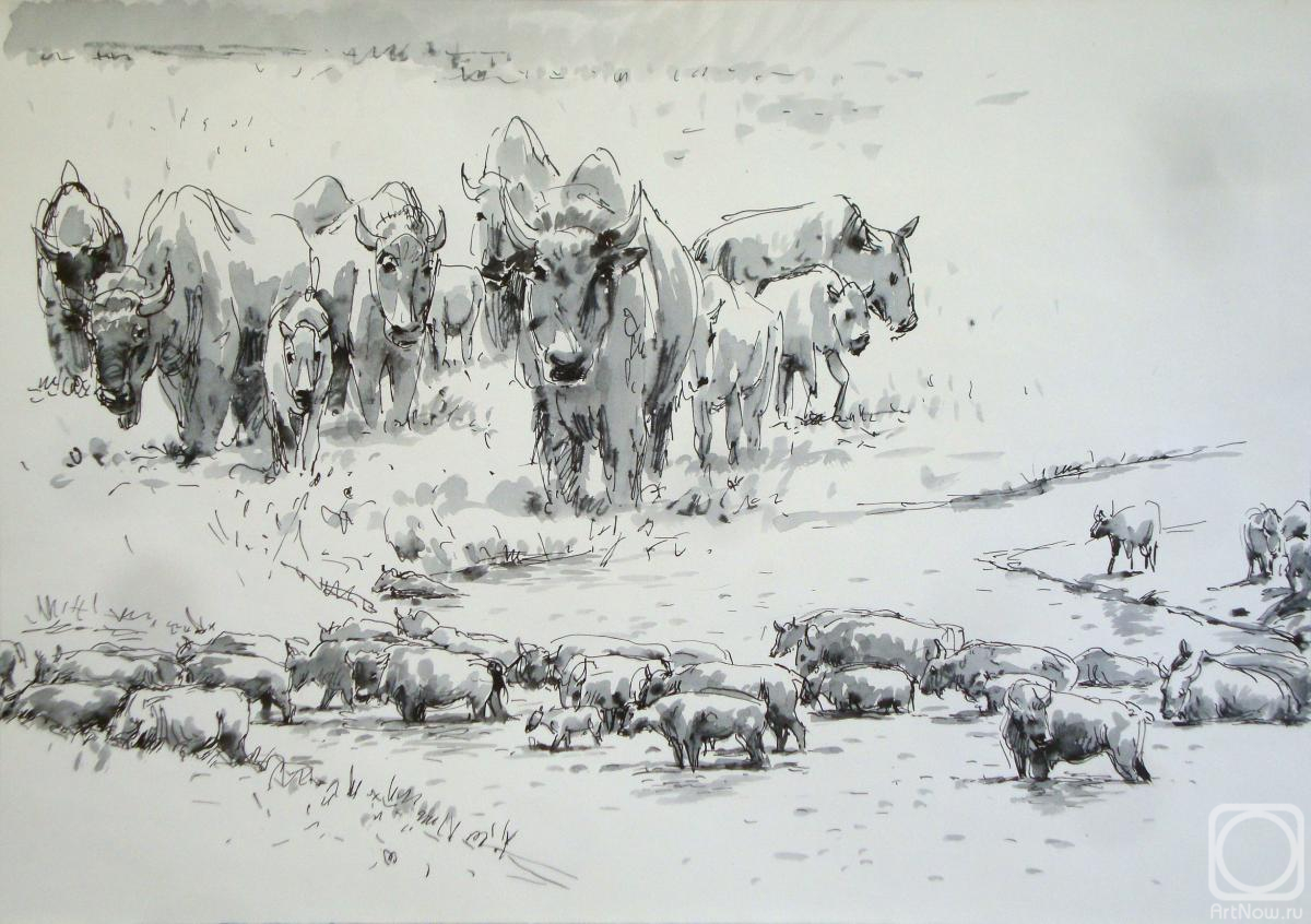 �������. ���������� �������. ������