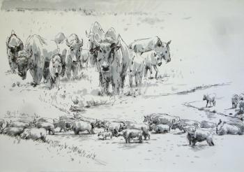 ������� ��������