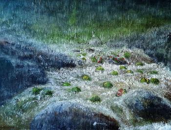 ������� ��������� ����