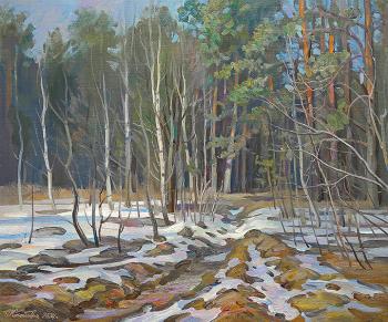 April in a pine forest. Zhlabovich Anatoly