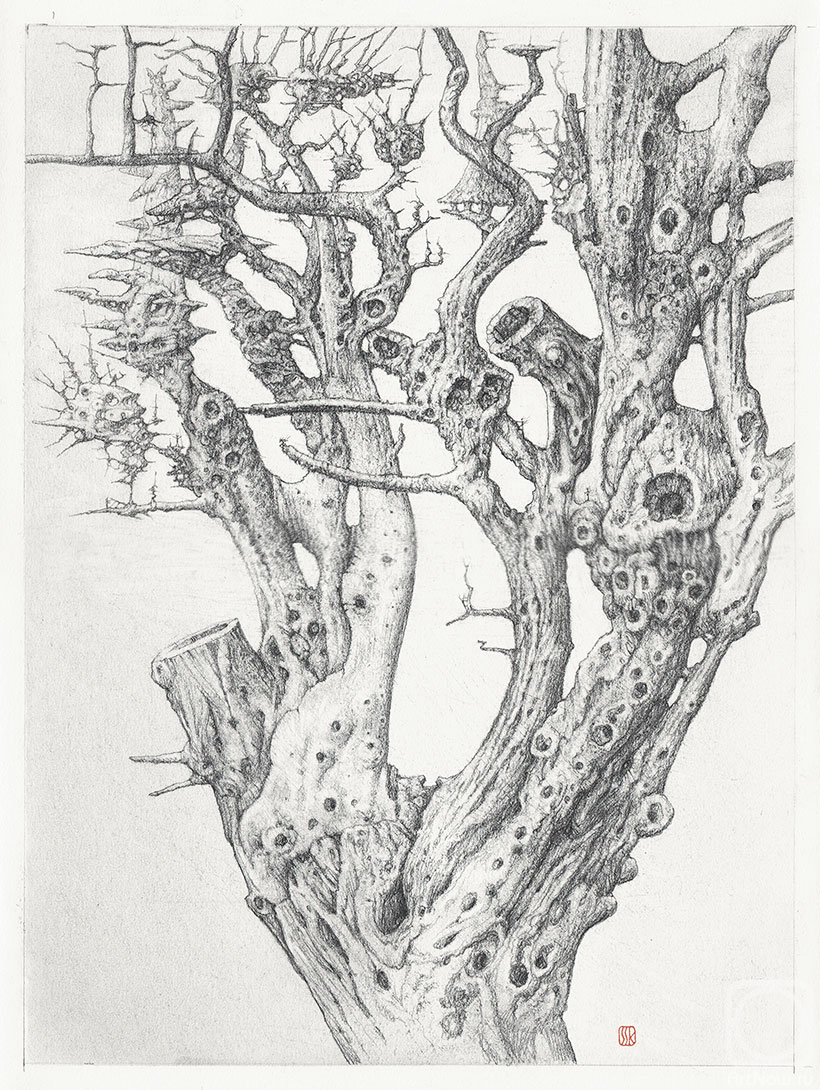 �������. ������� ������. ����� �������� �������� �04