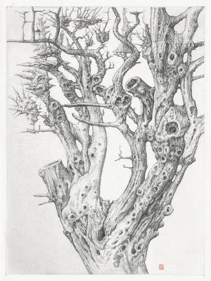 ����� �������� �������� �04 (�������� �� ���� ��������). ������� ������