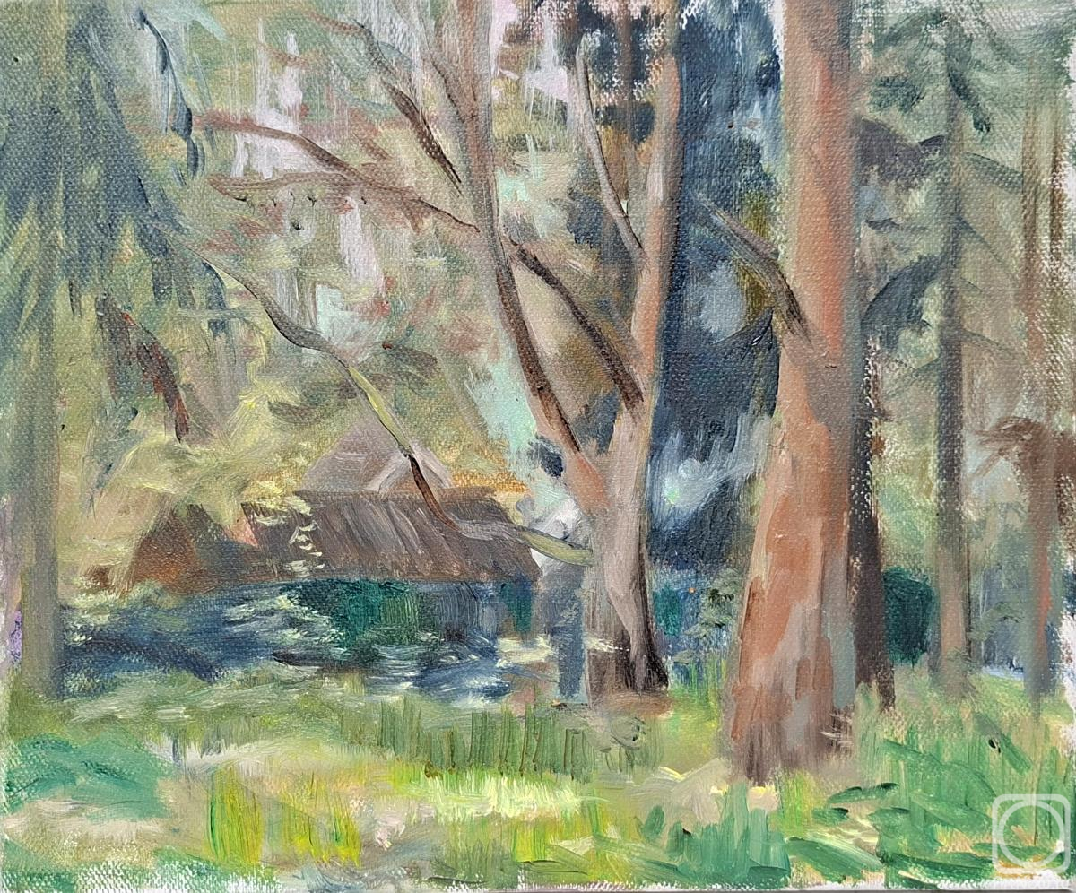 ������� ������ �� ������. �������� �������. ������ ����