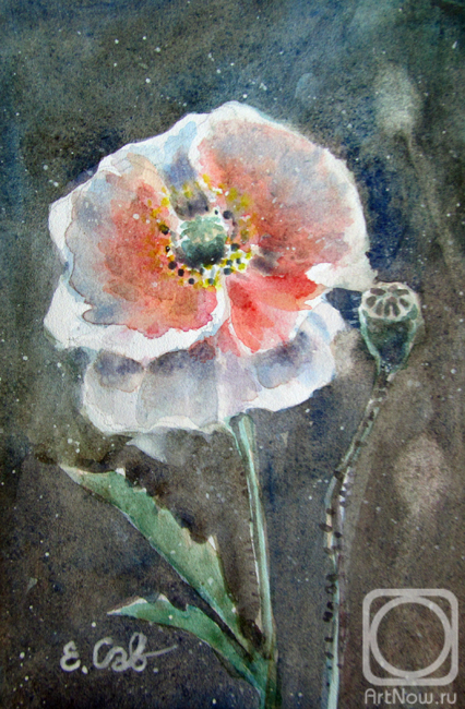 �������. ��������� �����. ����������� ���