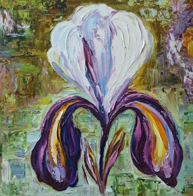 ������� �����