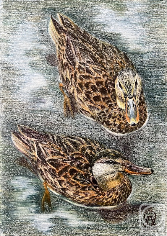 �������. �������� ������. ����