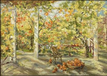 �����. ���� ������. �������� ���������