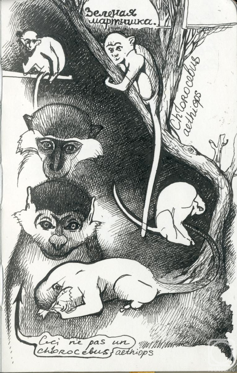 �������. ������ �����. ������� ��������