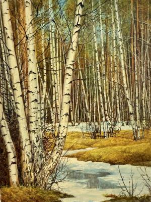 �������� �����������. �������� ��������