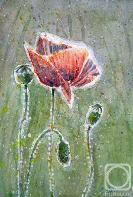 �������. ��������� �����. �������� ���