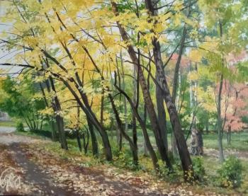 ������� ������� ������������. ������ �����