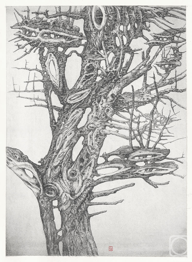 �������. ������� ������. ����� �������� �05