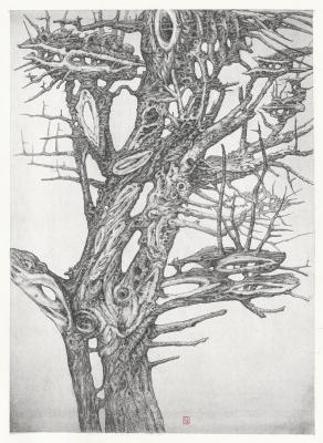 ������� ������ �������� �05�