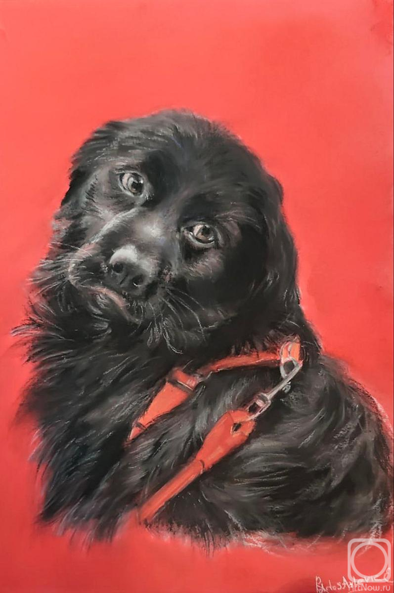 �������. ������������ �����. � ����������