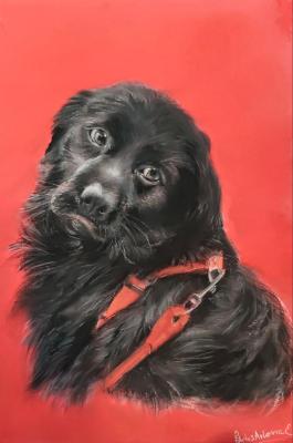 � ����������