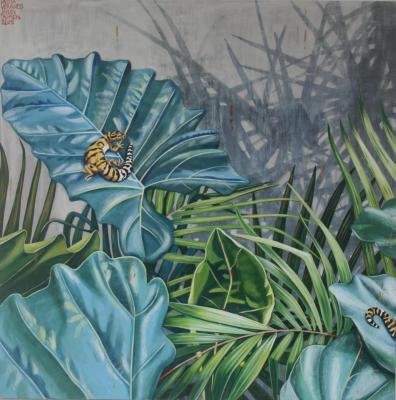 ������� ������������ ��� ����� ������