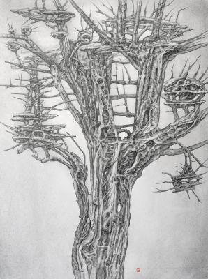 ������� ������ �������� �06�