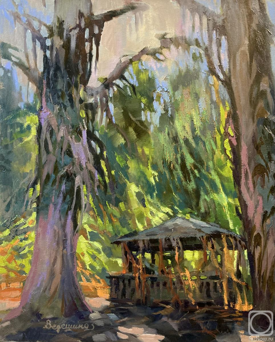 ������� ������ �� ������. �������� �������. �������.������. ����� �������