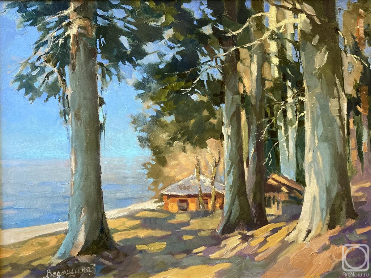 ������� ������ �� ������. �������� �������. �������. ������. ����� � ����