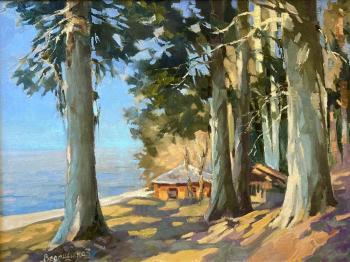 Abkhazia. Kyndyg. A house by the sea. Vedeshina Zinaida