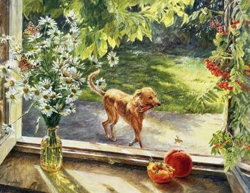 ���-����� �������. �������� �����