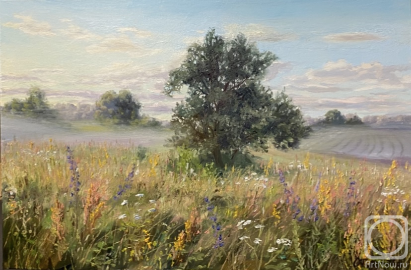 ������� ������ �� ������. �������� �����. ����� ���������� ����