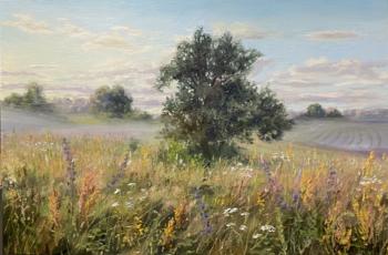 ����� ���������� ����. �������� �����