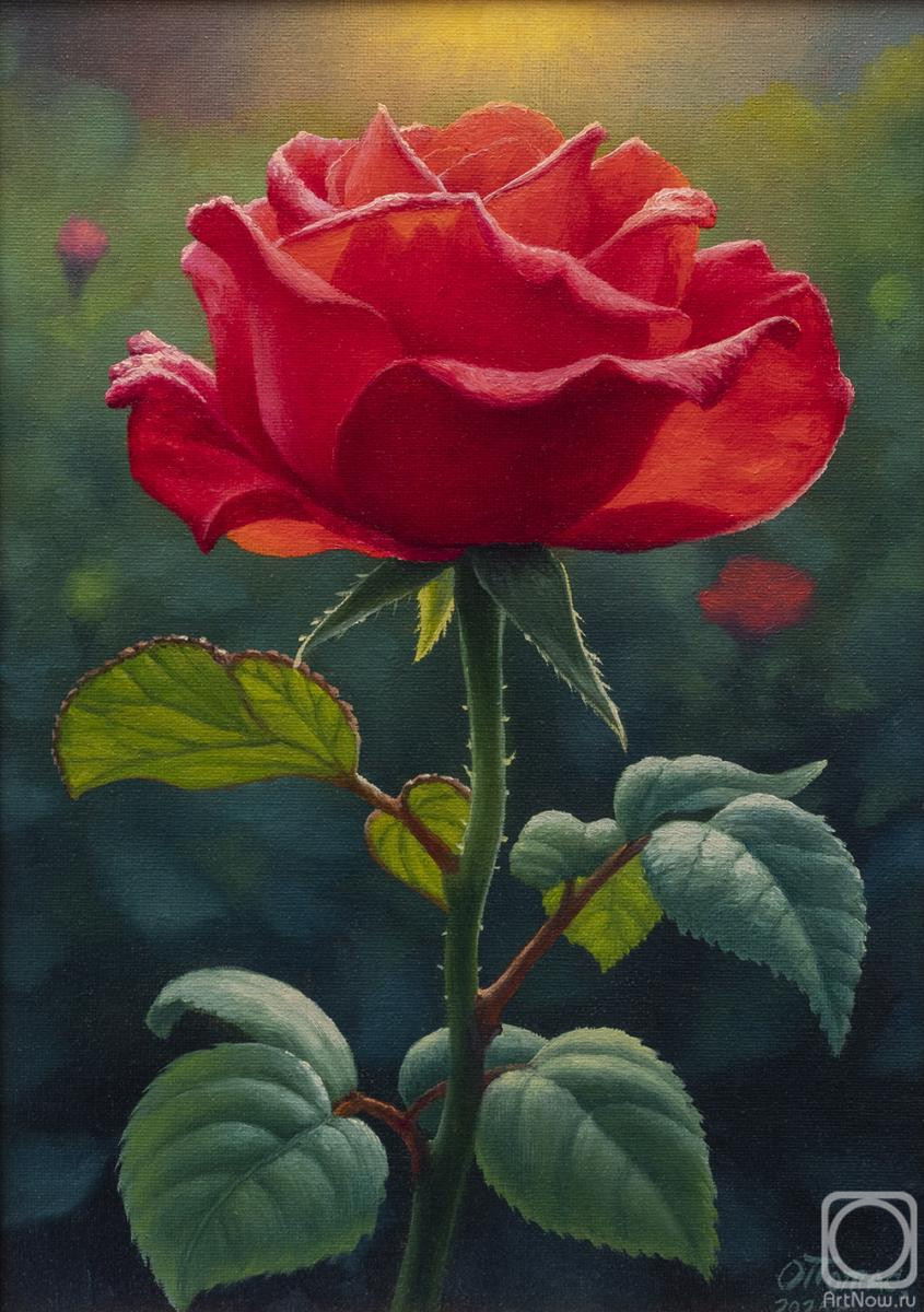 ������� ������ �� ������. ����� ����. ���� �� ������