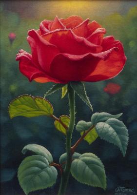 ���� �� ������ (��������� �� ������). ����� ����