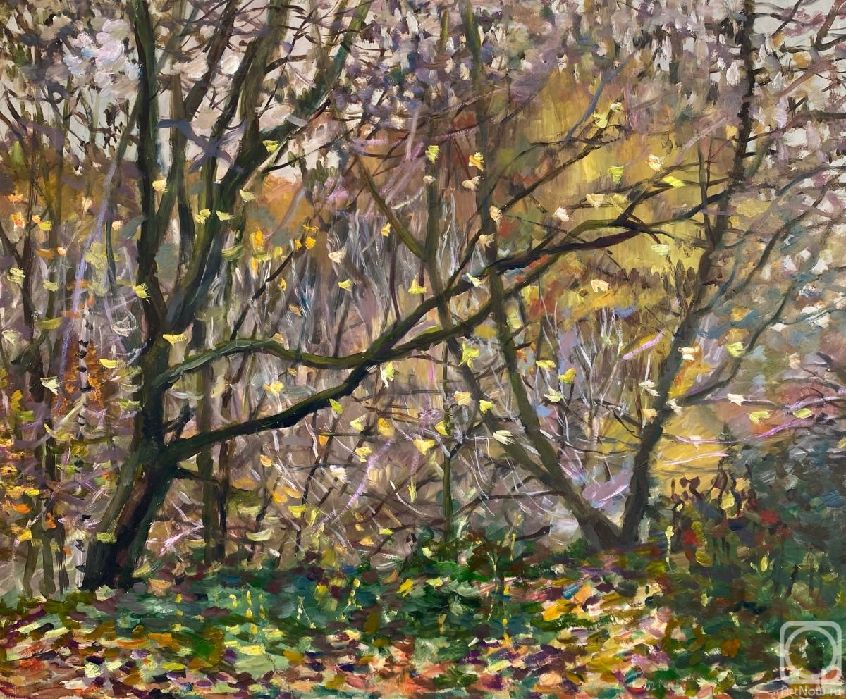 Sineva Svetlana. Untitled