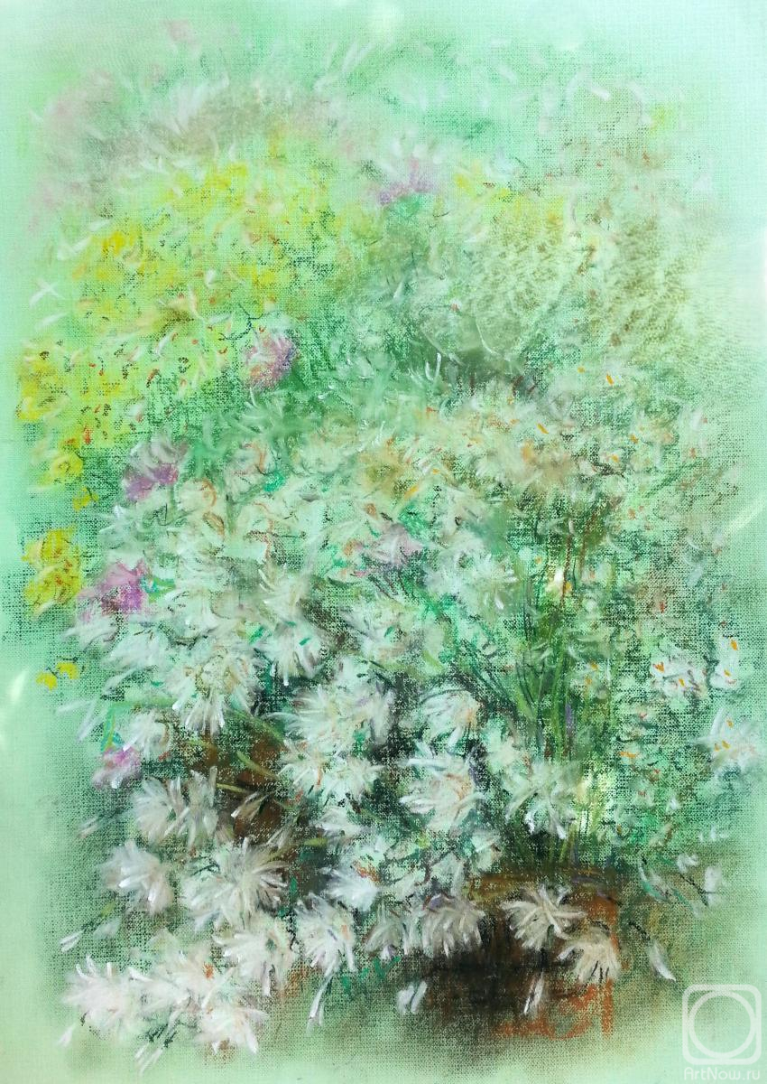 �������. �������� �������. ������� �����