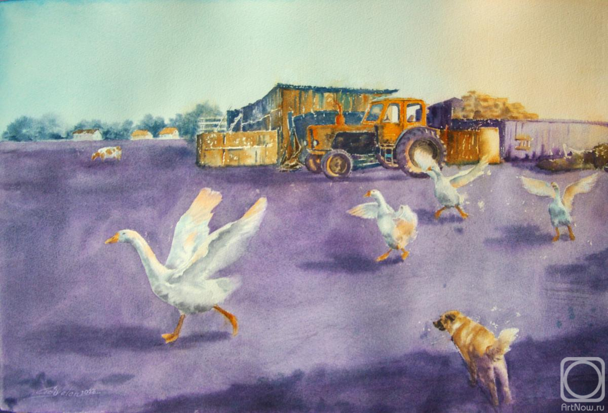 �������. ������������ �����. ���� �� ������